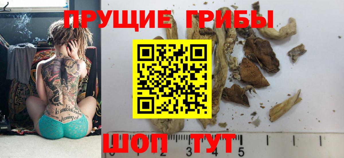 Краснокаменск  Псилоцибиновые грибы Psilocybe  Псилоцибиновые грибы мицелий  Вход с VPN 